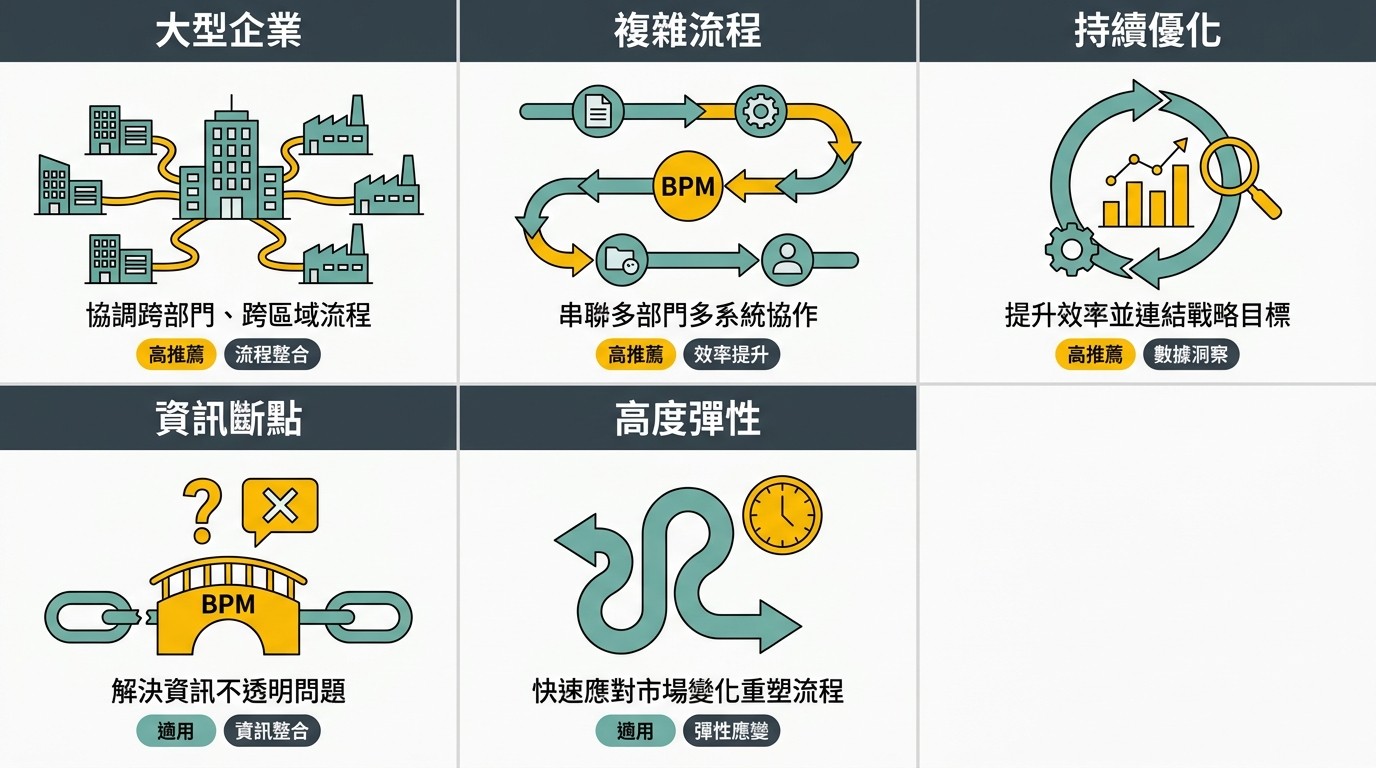 一張 3x2 網格資訊圖，呈現 BPM 系統的五種適用情境，包含大型企業、複雜流程、持續優化、資訊斷點與高度彈性，每格有標題、圖示與標籤。